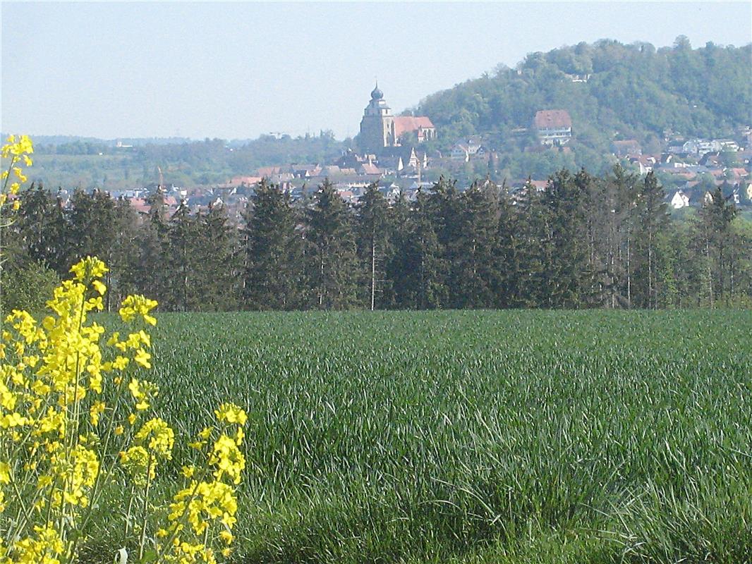Ein schöner 1. Mai und der Blick nach Herrenberg. Von Frank Winter aus Nebringen...