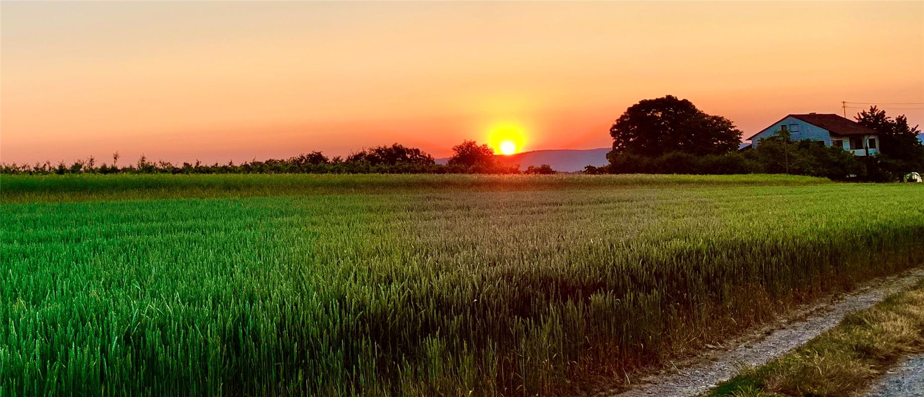 Ein schöner Sonnenaufgang am Rand von Gäufelden.  Von Minja Rollinson aus Gäufel...