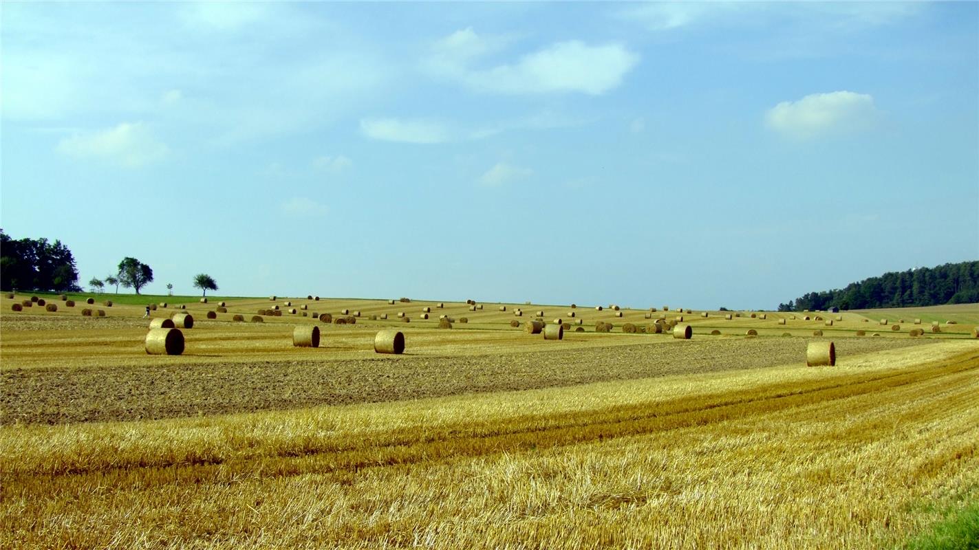 Ein schönes Landschaftsbild ist dem Herrenberger Klaus Pfisterer zwischen Stammh...