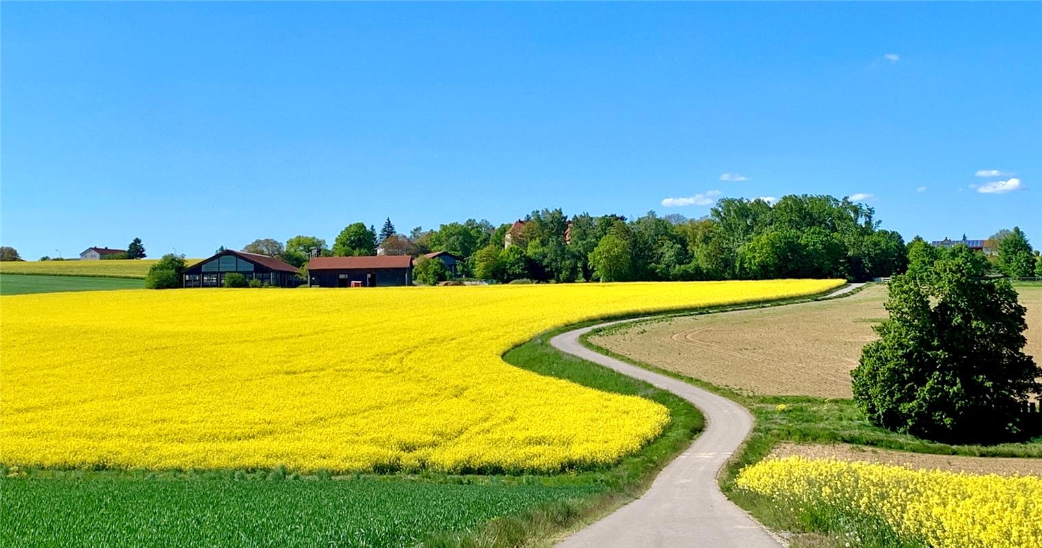 Ein sich windender Weg nach Sindlingen ...  Von Minja Rollinson aus Gäufelden.