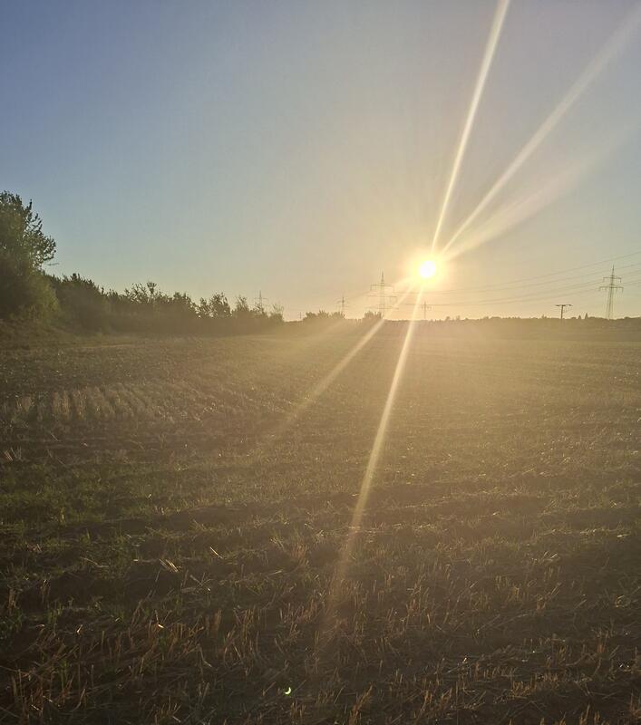 Ein stiller Sommerabend im goldenen Licht. Von Maria Tabitha Weisse aus Herrenbe...