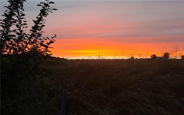 Ein traumhafter Sonnenuntergang (fotografiert von Maria Tabitha Weisse aus Herrenberg)