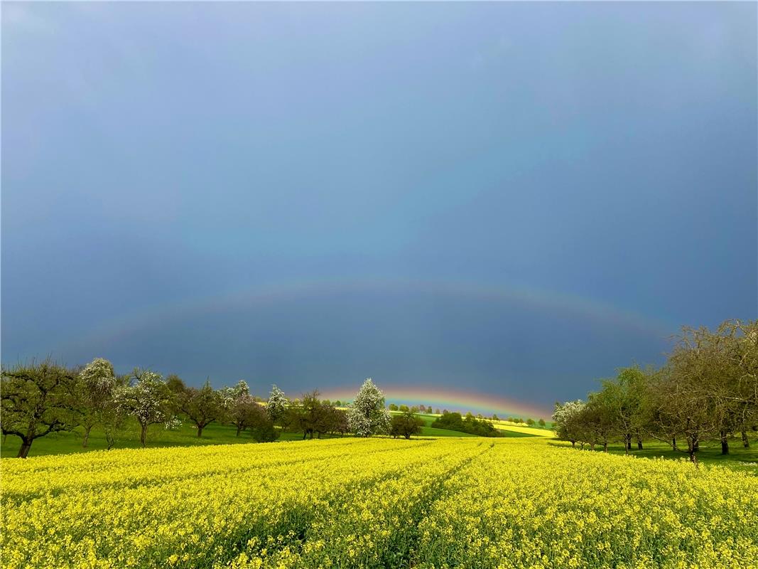 Ein unglaublicher Regenbogen am 1.Mai 2023. Von Thomas Cornelius aus Jettingen.