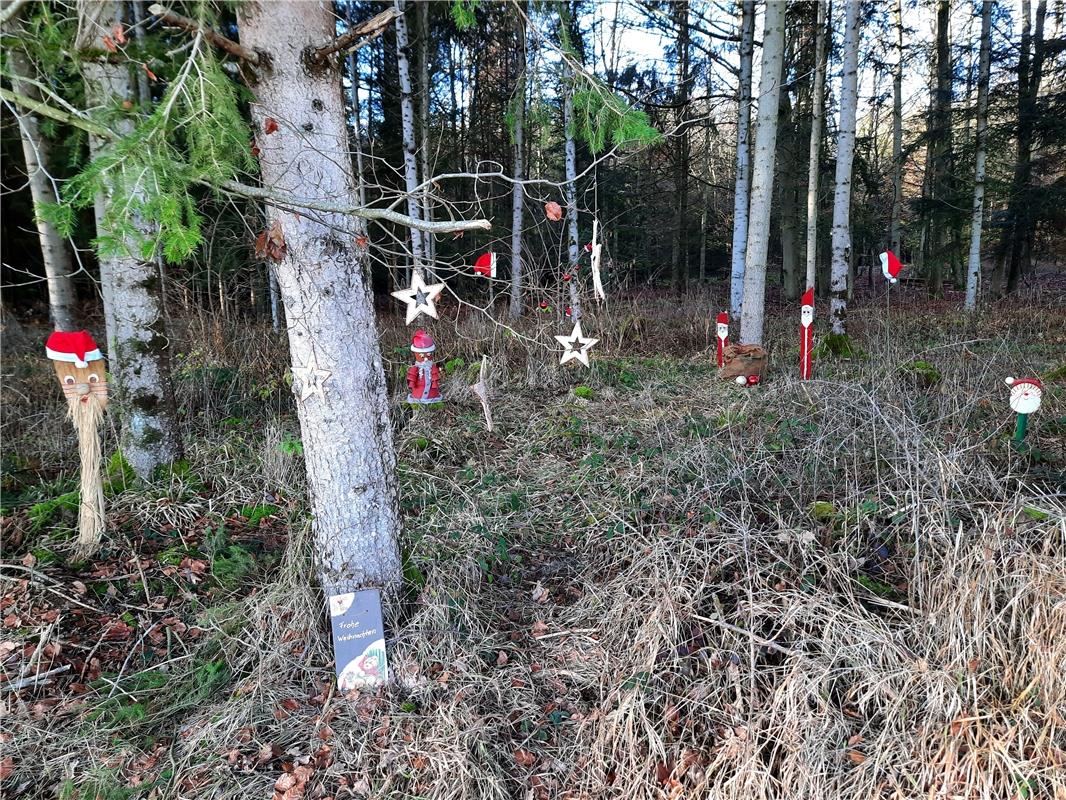 Eindrücke vom Waldweihnachtspfad in Öschelbronn. Von Heiko Weiß aus Gäufelden.