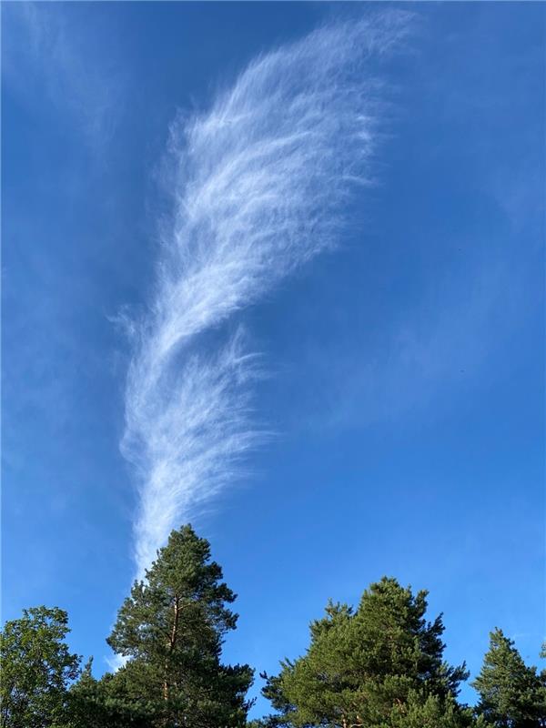 Eine Feder aus Wolken - wahrlich federleicht - gesehen am Schlossberg Herrenberg...