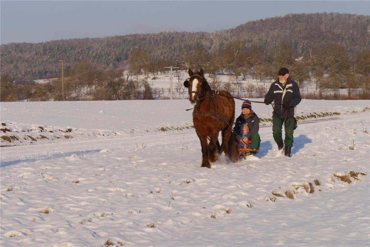 Eine Pferde-Schlittenfahrt mit dem Pferd Lena durch das verschneite Gültsteiner ...
