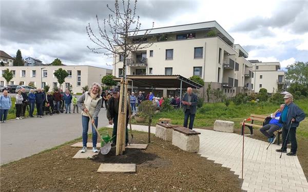Eine ihrer letzten Amtshandlungen in Poltringen: Christel Halm pflanzt einen Baum am neuen Fußweg zum Pflegeheim an der Ammer.GB-Foto: Straub