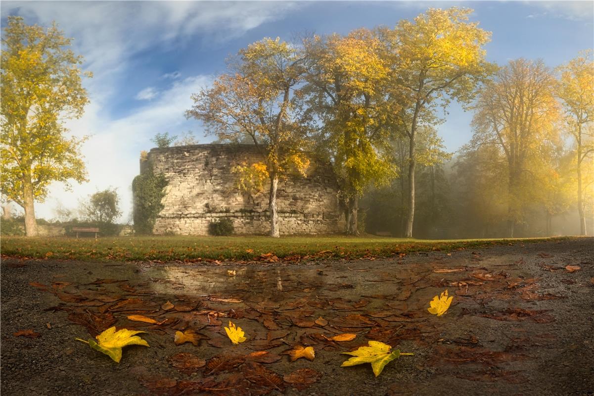 Einer der wenigen schönen Herbsttage auf dem Schlossberg. Von Sonja Sayer aus Je...