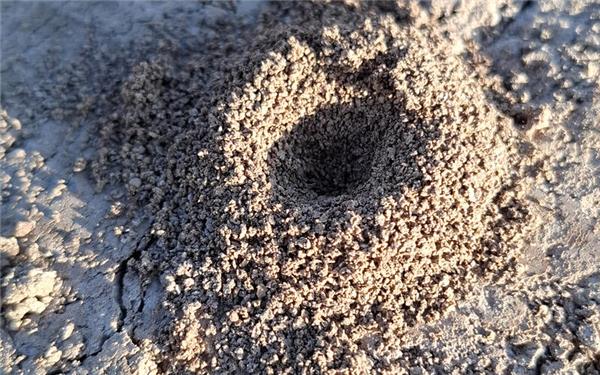 Eingang zum Orkus des Regenwurmreichs (fotografiert von Peter Linsbauer aus Herrenberg)