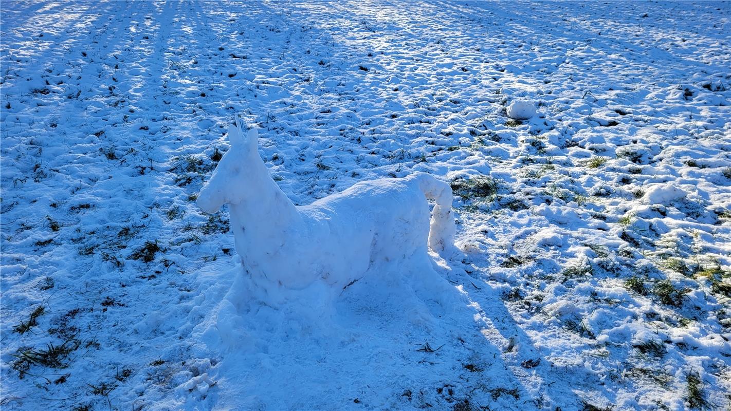 Einhorn im Schnee - Künstler*in unbekannt. Von Susanne Marquardt aus Gültstein.