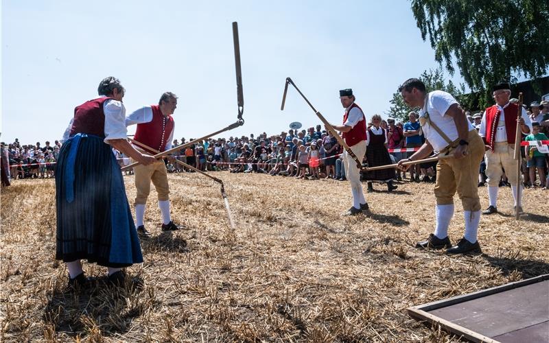 Einiges los war am Sonntag an Haslachs westlichem Ortsrand beim „Tag der Landwirtschaft“. Am Nachmittag wurden historische Erntevorführungen gezeigt. GB-Fotos: Schmidt