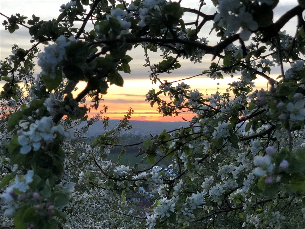 Einladung der Natur, am Abend eines herrlichen Frühlingstages, zur Ruhe zu komme...