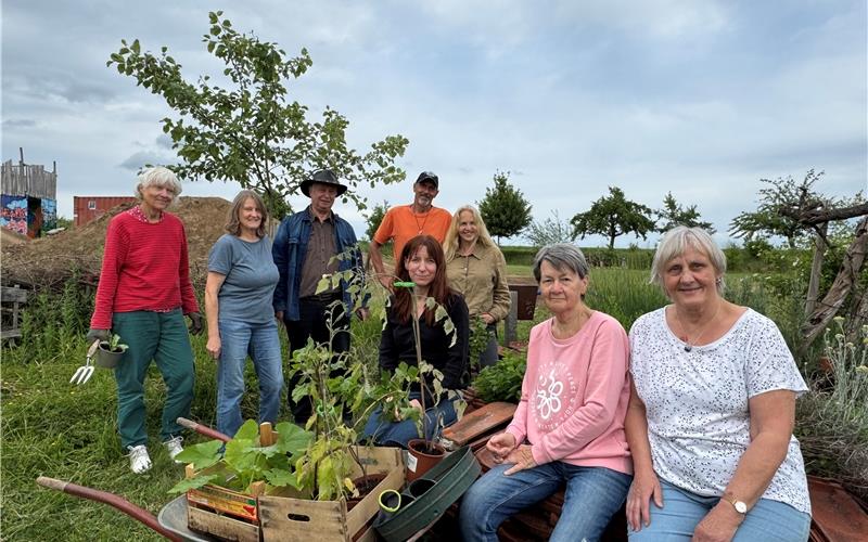 Einpflanzen, gießen, Steinpyramiden bauen – im Hortus Herrenbergensis gibt es immer Aufgaben für die Mitstreiter (von links nach rechts): Inga Liedtke, Susanne Scheffler, Norbert Heumüller, Ulrich Bucher, Kristin Weigand-Wiebel, Susanne Orlich, Evelyne Schäfer und Gerlinde Riebold-Weichert. Nicht mit auf dem Bild sind weitere, ebenfalls im Hortus engagierten Helfer: Kathinka Sperling, Matthias Holzner, Roland Rieker, Uschi Roth und Simone Egeler.  GB-Fotos: Denu