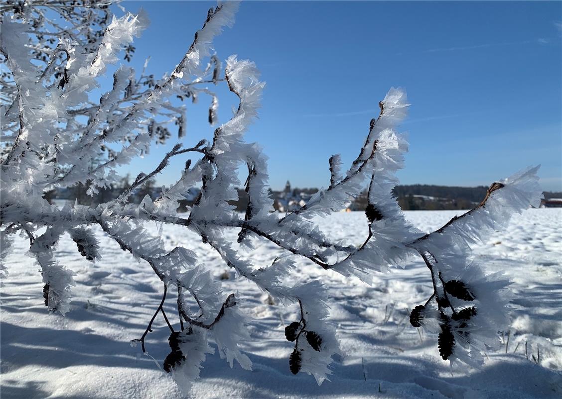 Eiskristalle nach eiskalter Nacht: Falko Jauch aus Jettingen lässt sie in seiner...