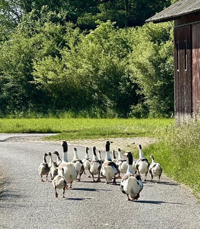 Endlich Ferien!  Von Rose Bahlinger aus Herrenberg.
