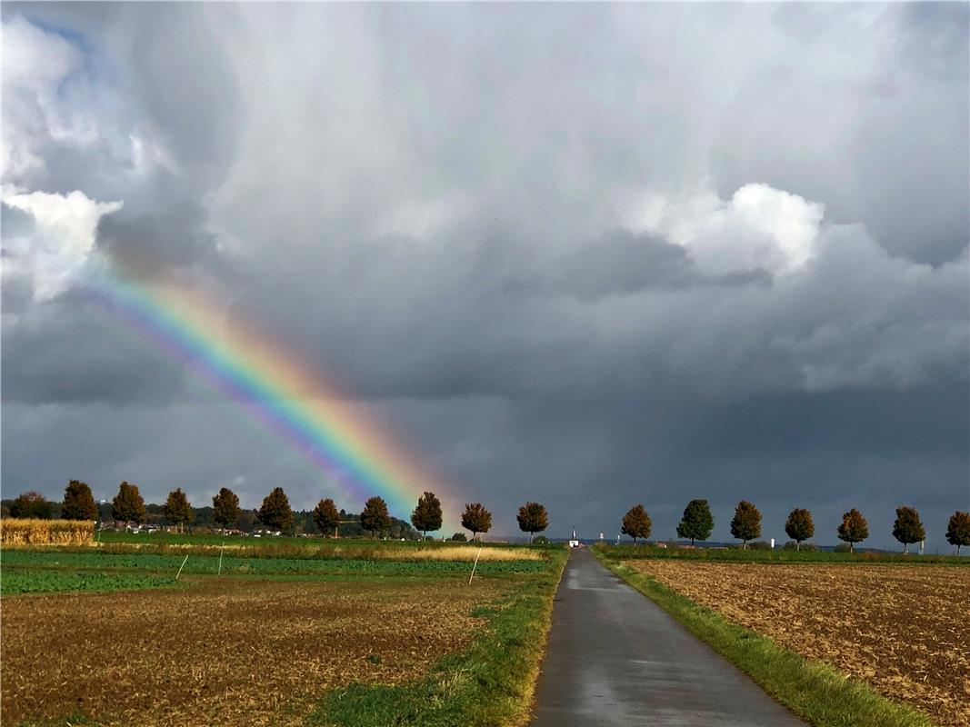 Endlich Herbst. Von Dirk Buhlmann aus Herrenberg.