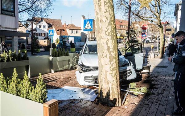 Endstation Baum gestern in Sindelfingen.GB-Foto: SDMG/Dettenmeyer