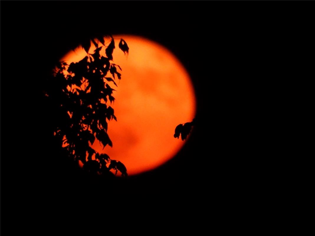 'Erdbeermond' am 11.6.2025, ca. 22.30 Uhr  Von Alfred Müller aus Gäufelden.
