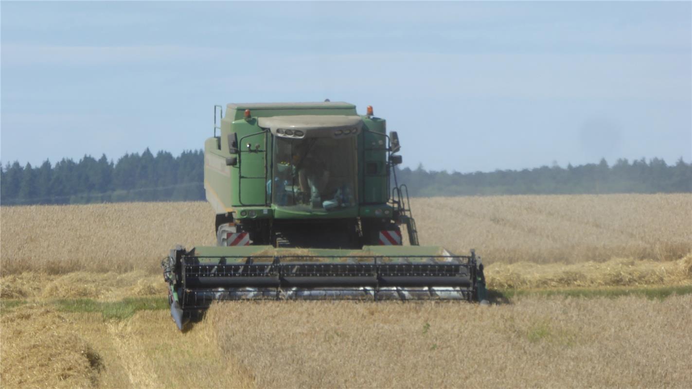 Erntezeit, der Herbst naht.  Von Hans-Joachim Borowy aus Gärtringen.