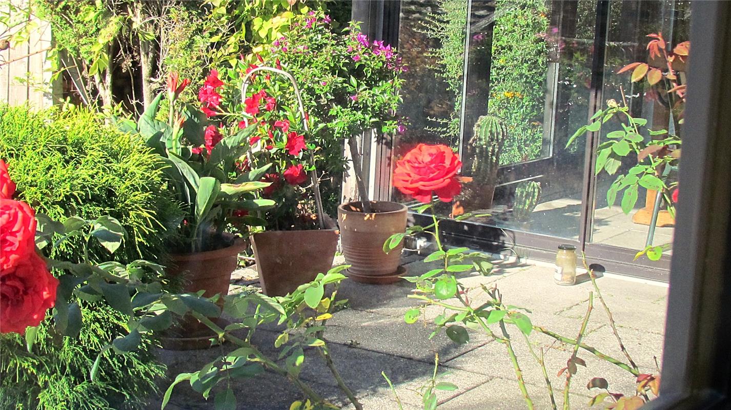 Erschienen: Auch der Herbst gibt der Blütenpracht noch eine Chance.  Von Frank W...