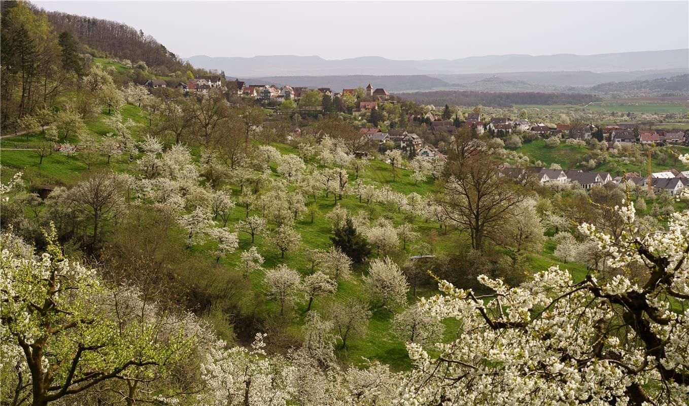 Erschienen Blütenmeer...  Von Monika Suhm aus Gärtringen.