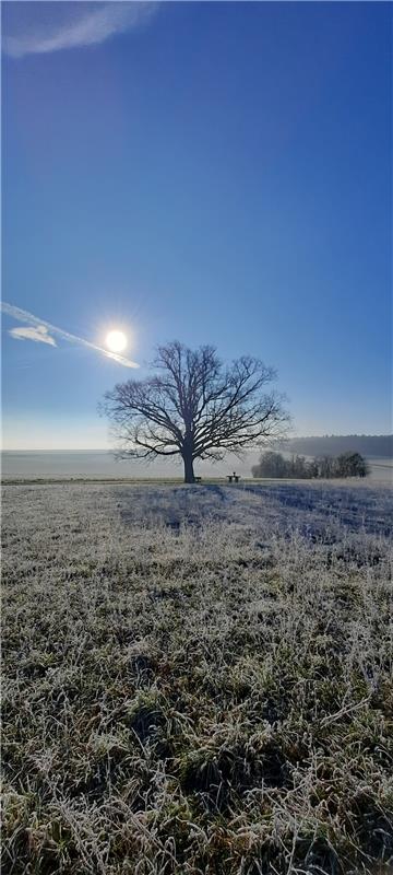 Erschienen Deckenpfronner Schillerlinde am 1. Advent.  Von Uli Hafner aus Decken...