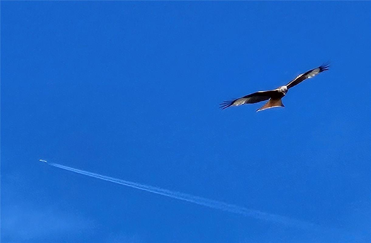 Erschienen Natur und Technik, zwei Flieger am Himmel, ein Jet und ein Rotmilan. ...