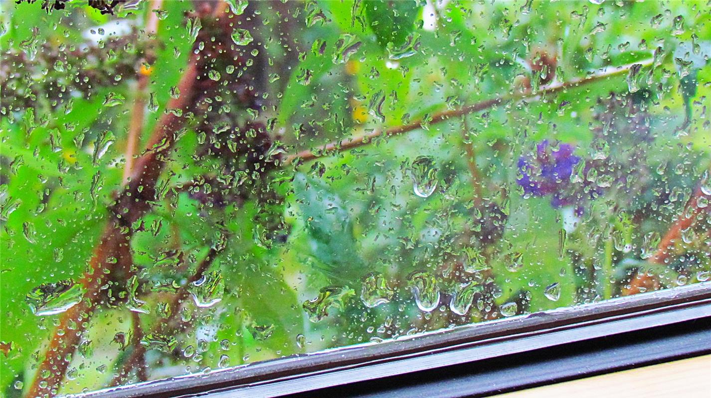 Erschienen: Regentropfen, die an mein Fenster klopfen.  Von Frank Winter aus Neb...