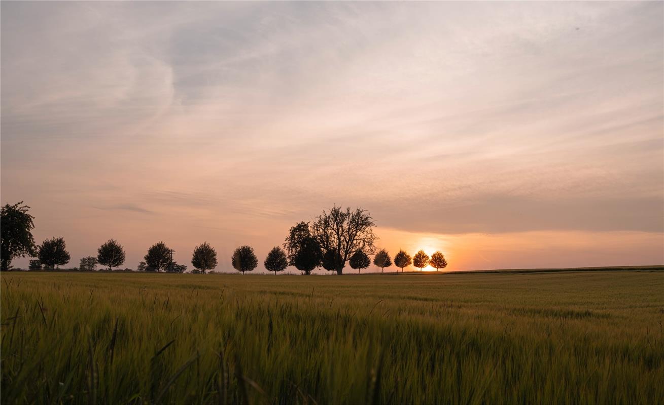 Erschienen Rohrau mit Toskana-Feeling.  Von Monika Suhm aus Gärtringen.