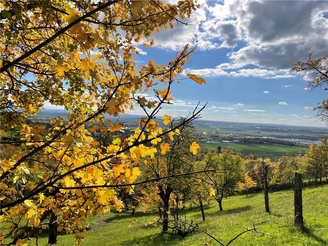 Erschienen So schön ist der Herbst. Von Helga Schmickl aus Herrenberg.