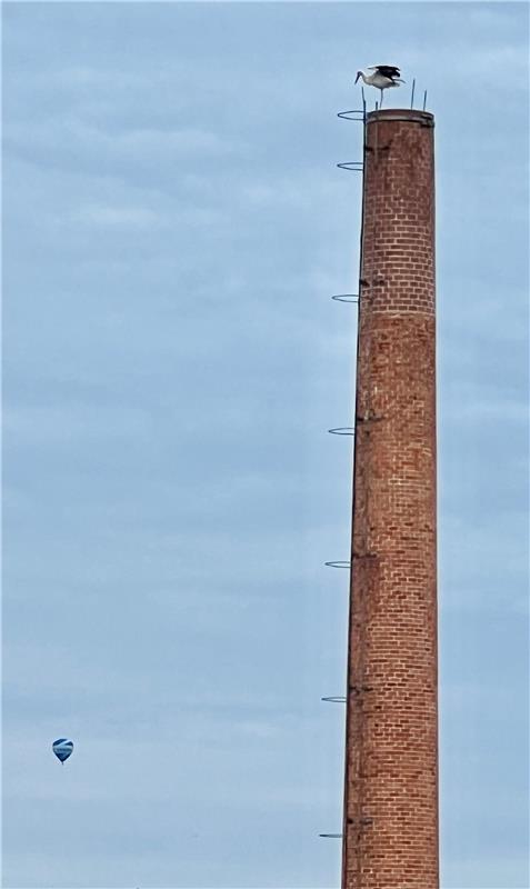 Erschienen Storch auf dem Schornstein der Firma Walter Knoll.  Von Heidi Baumgar...