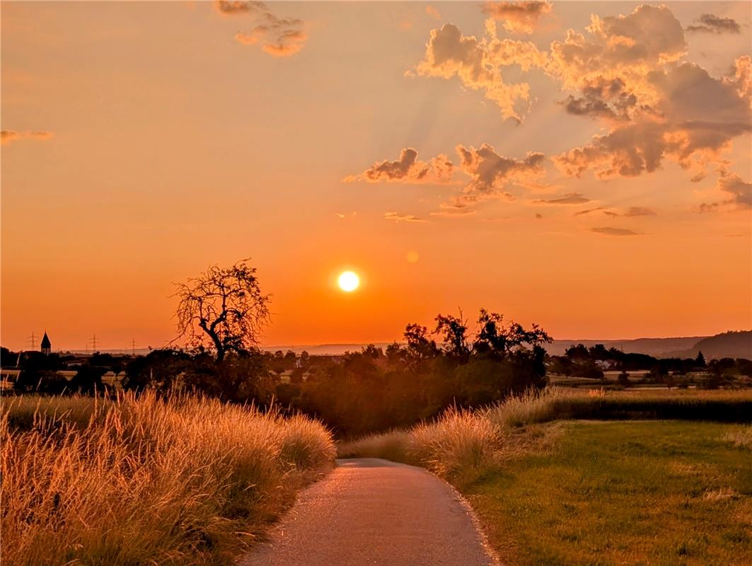 Erschienen am 05.07.25/ für Insta verwendet) Sonnenaufgang über Kuppingen am 1. ...