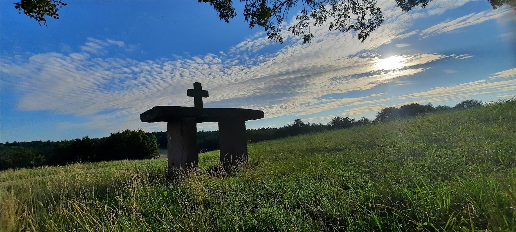 Erschienen, auch Insta: Sommerliche Abendstimmung an der Schillerlinde. Von Uli ...