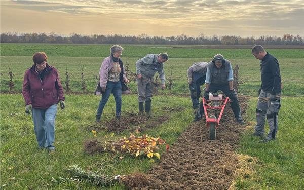 Erste Pflanzaktion im neuen Vereinsgarten