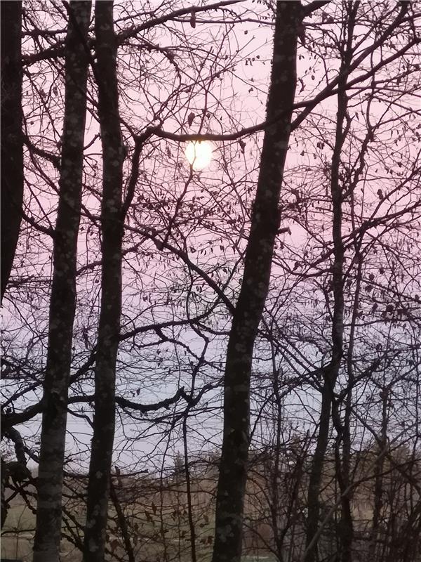 Erster Vollmond im neuen Jahr.  Von Walter Lenz aus Gärtringen.