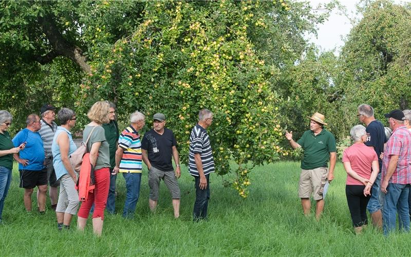 Ewald Eipper (mit Hut) führte die Besucher durch die Felder, hier an einem Apfelbaum. GB-Foto: Schmidt