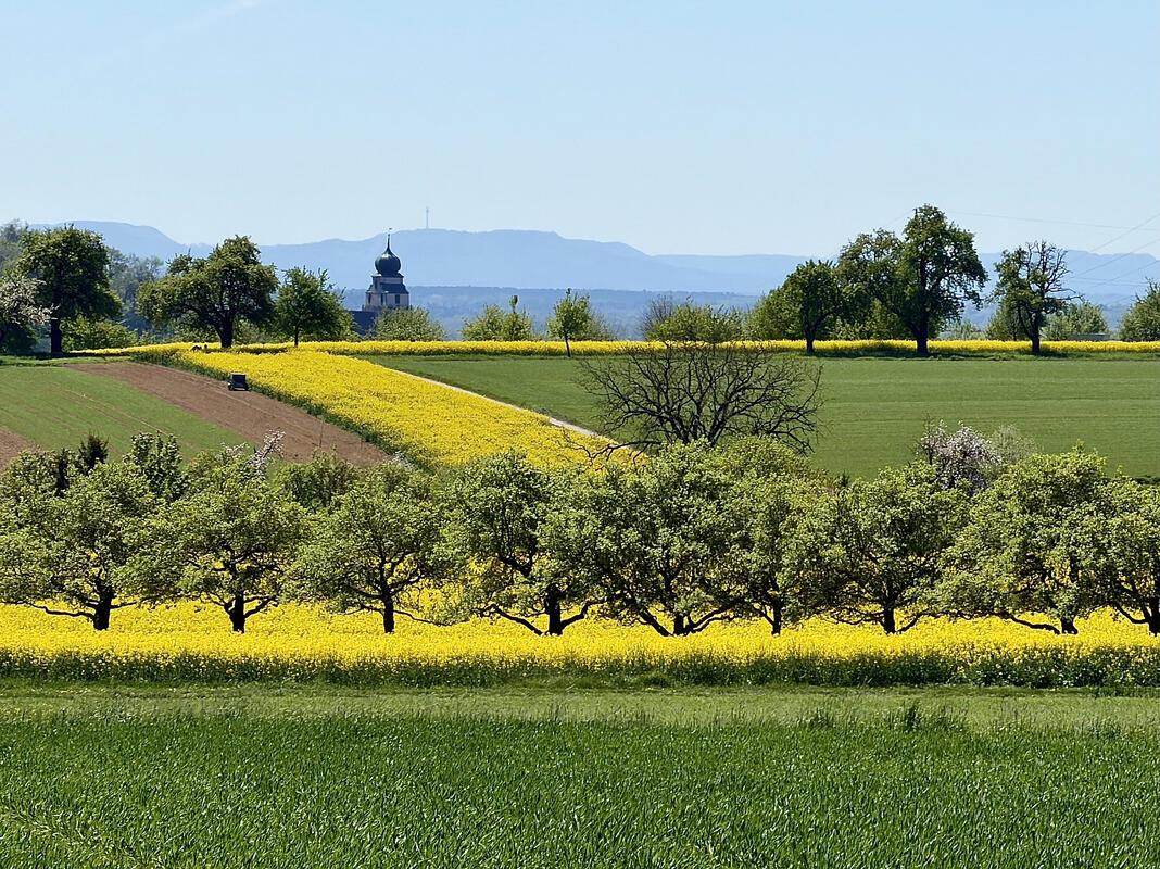 Farben und Strukturen.  Von Monika Suhm aus Gärtringen.