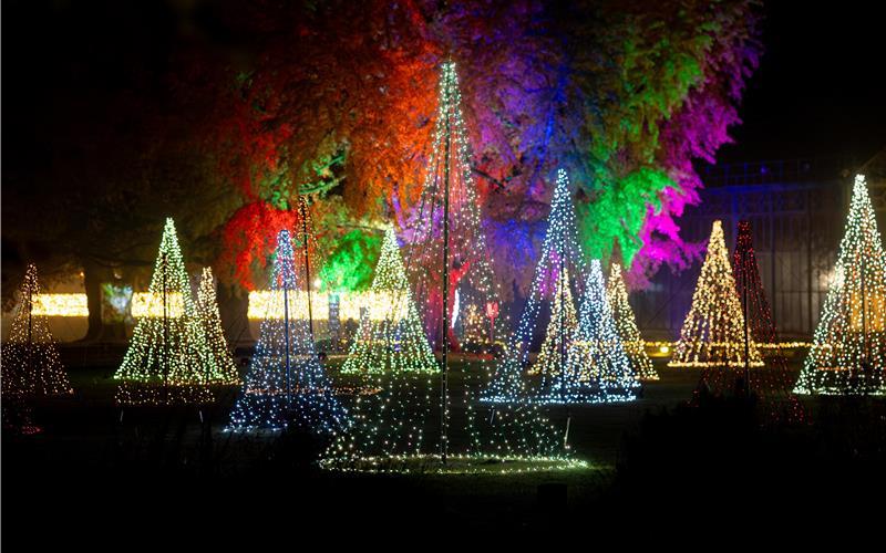 Farbenprächtig: Der Christmas GardenGB-Foto: Dennis Duddek/C2 Concerts