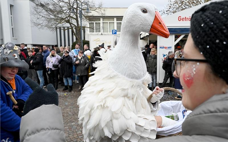 Zeit der Fasnetsumzüge: Bilder vom närrischen Treiben