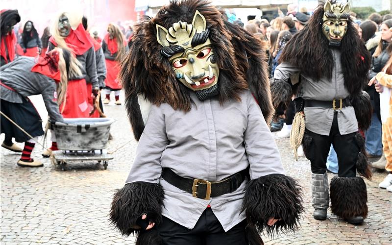 Zeit der Fasnetsumzüge: Bilder vom närrischen Treiben