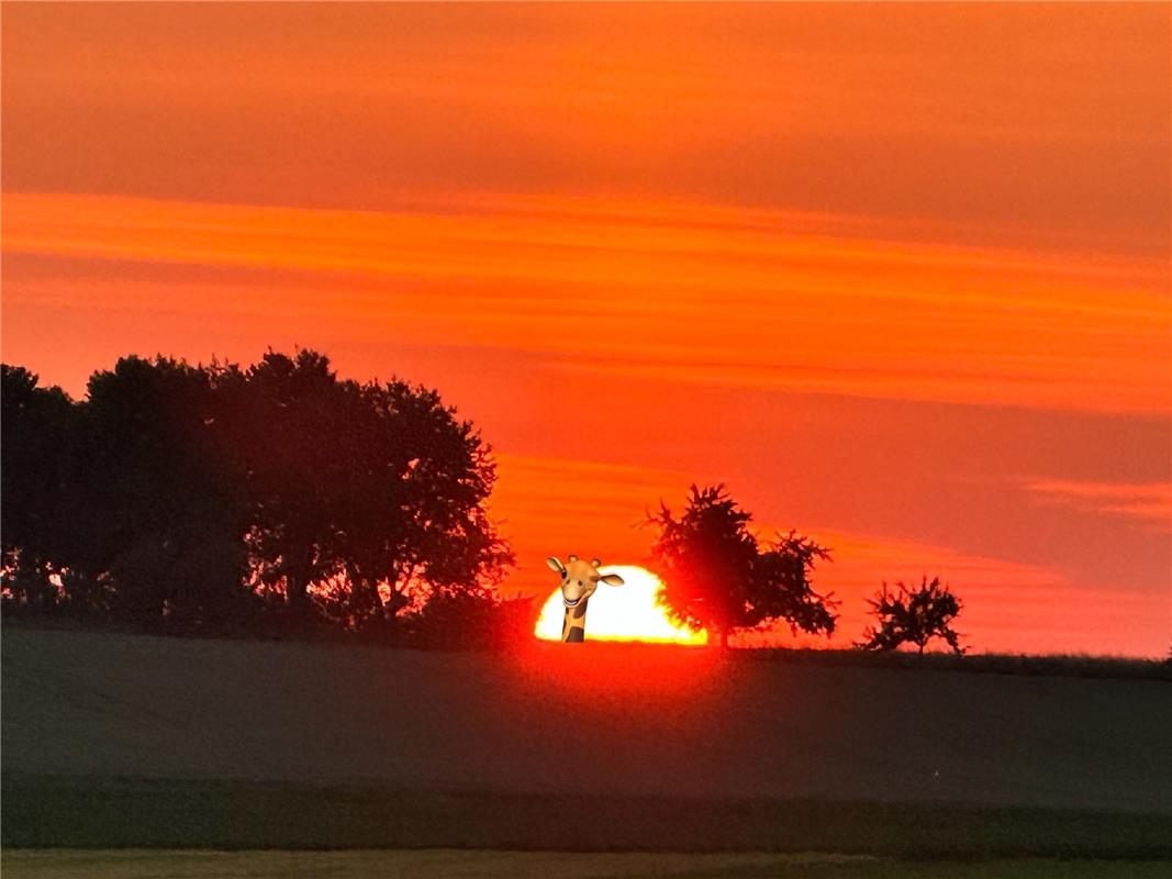 Fata Morgana bei der endlosen guten Sicht. Von Rainer Braitmaier aus Herrenberg.