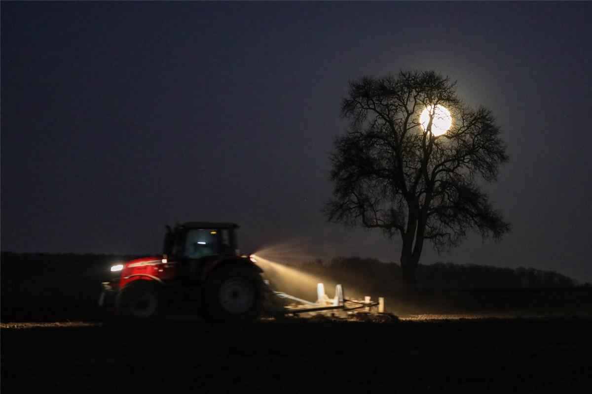 "Feld bei Vollmond". Ob jetzt das Getreide besser wächst? Diese Frage stellt Ann...