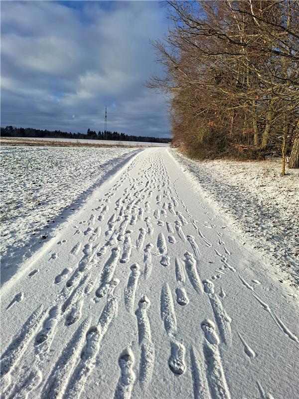 Feld zwischen Öschelbronn und Herrenberg.  Von Erich Maier aus Gäufelden.