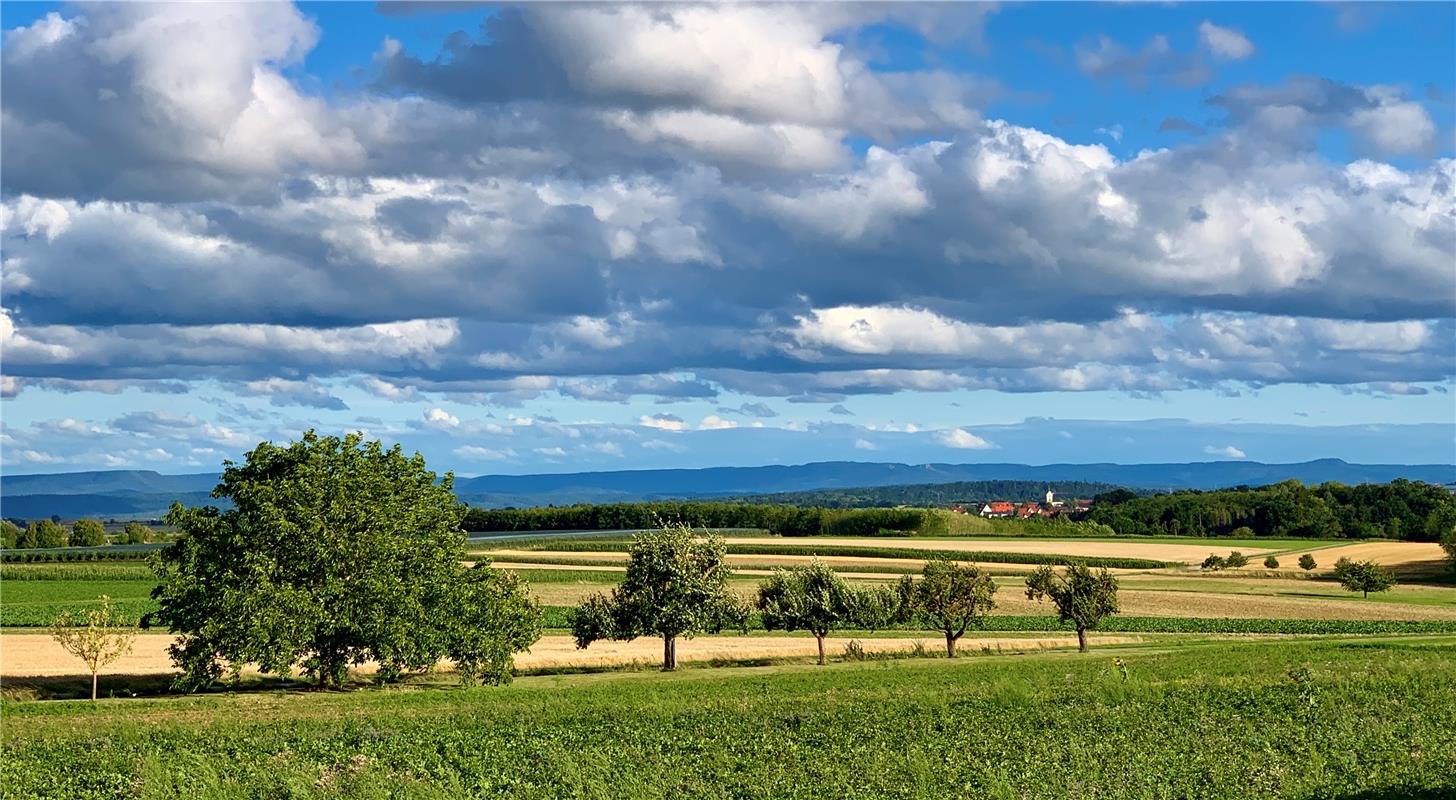 Felder in der Breite und ein Dorf in der Weite. Von Minja Rollinson aus Gäufelde...