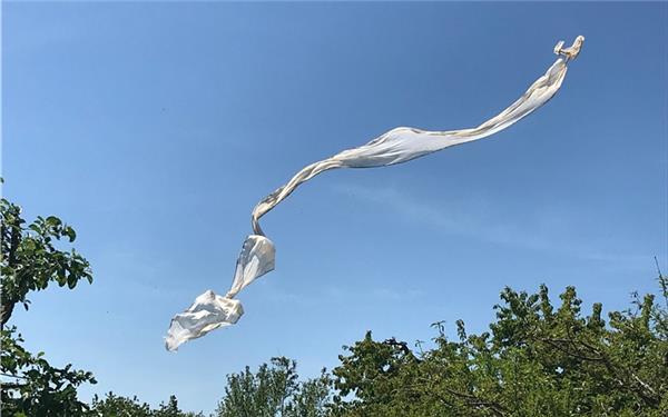 Flieg, Flies, Flieg!
