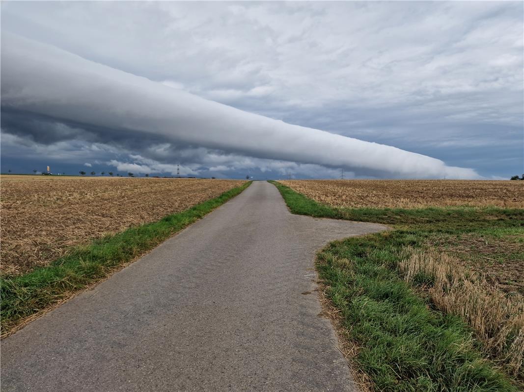 Foto am 25.08.2023 gegen 8 Uhr. Angekündigter Wetterumschwung kommt auf uns zu. ...