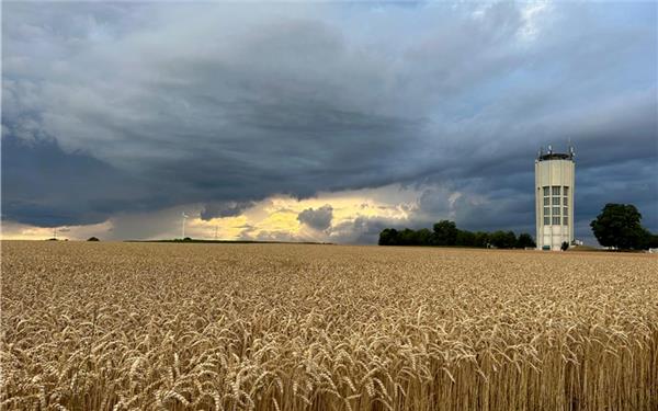 Fotografischer Feldversuch (aufgenommen von Gerd Wolfer aus Jettingen)