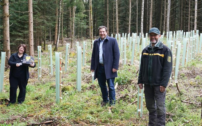 Freuen sich über neue Bäume (von links) Jutta Weinle-Günter, Gärtringens Bürgermeister Thomas Riesch und Revierförster Jörg SchneiderGB-Foto: gb