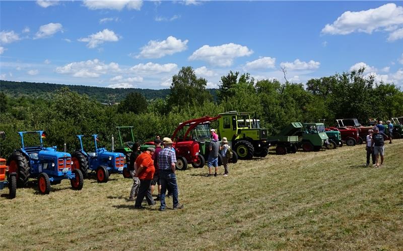 Freunde landwirtschaftlicher Fahrzeuge bestaunten beim Altinger Schleppertreffen etwa 150 ausgestellte Traktoren. GB-Foto: Straub