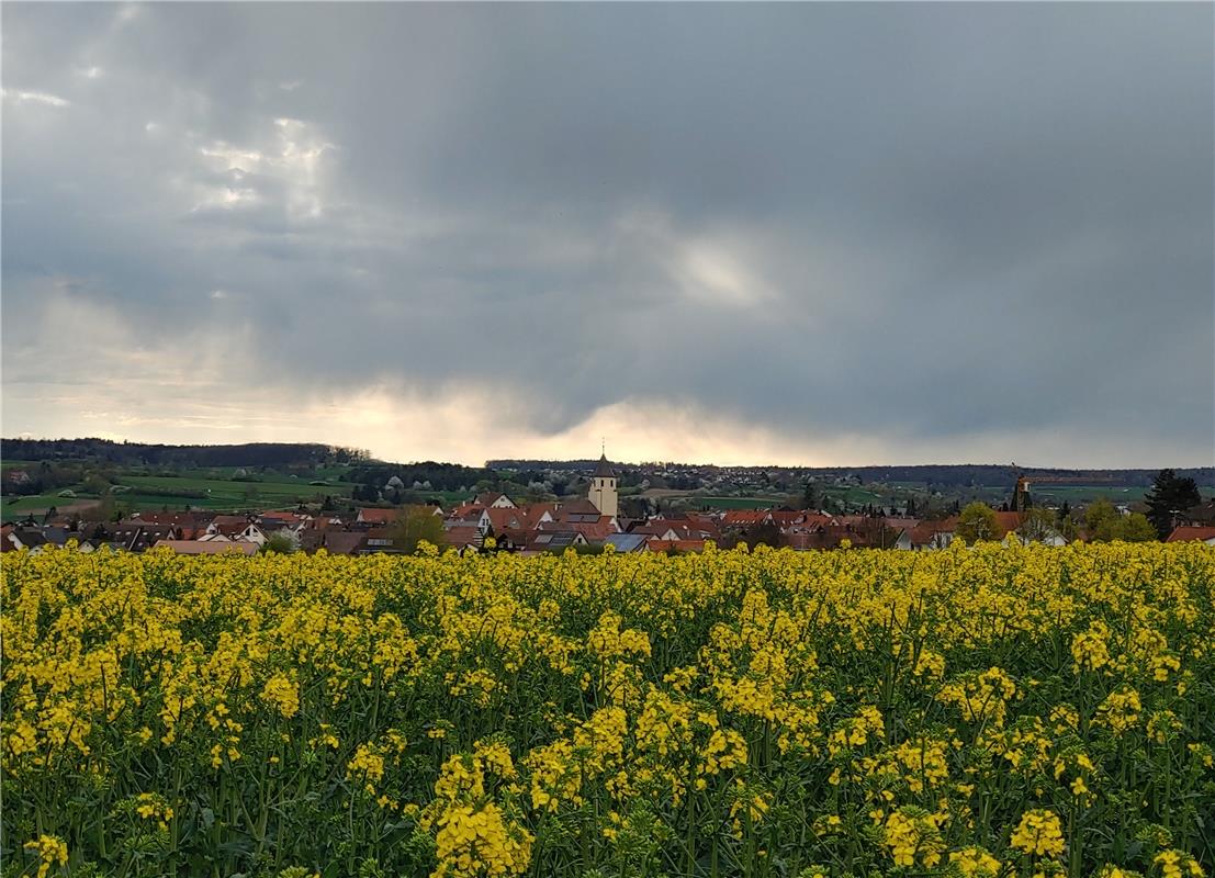 Frühling...  Von Susanne Marquardt aus Gültstein.